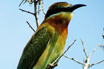 Yala National Park Sri Lanka