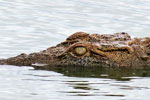 Yala National Park Sri Lanka