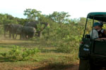 Yala National Park Sri Lanka