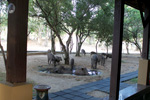 Yala Village Chalets