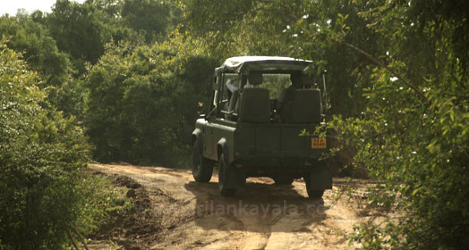 Yala Village Sri Lanka