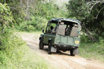 Yala National Park Sri Lanka